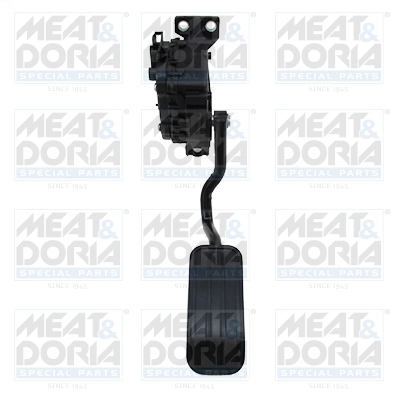Accelerator Pedal Unit